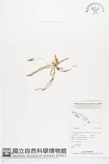 登錄號:BS02256藏品圖，第1張