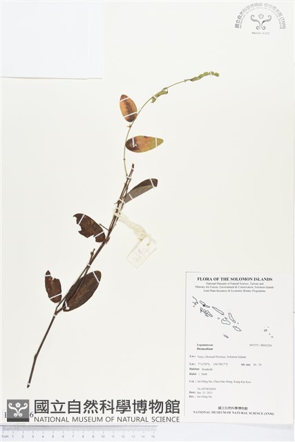 登錄號:BS03256藏品圖，第1張