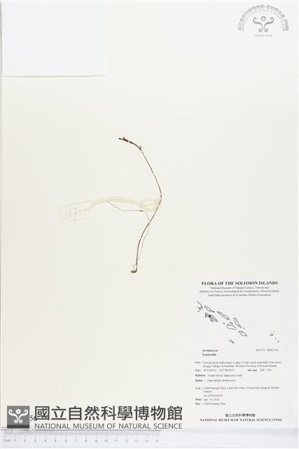 登錄號:BS02756藏品圖，第1張