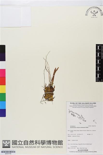 登錄號:BS05756藏品圖，第1張