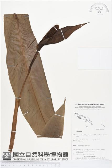 登錄號:BS03756藏品圖，第1張