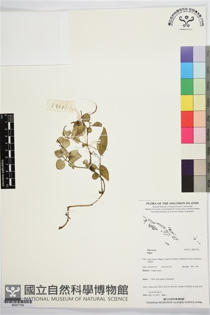 登錄號:BS07756藏品圖，第1張