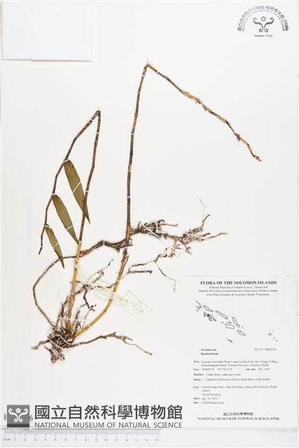 登錄號:BS02556藏品圖，第1張