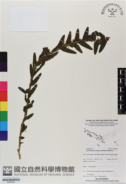登錄號:BS06956藏品圖，第1張