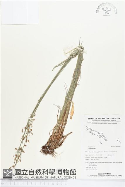 登錄號:BS02956藏品圖，第1張