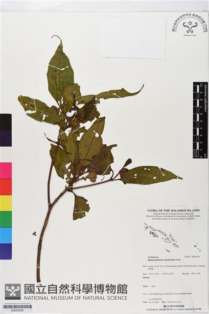 登錄號:BS05956藏品圖，第1張