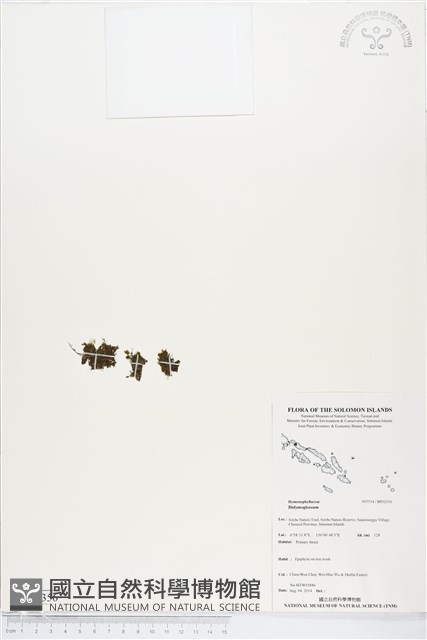 登錄號:BP02356藏品圖，第1張