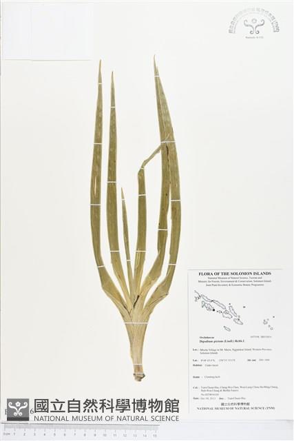 登錄號:BS03816藏品圖，第1張