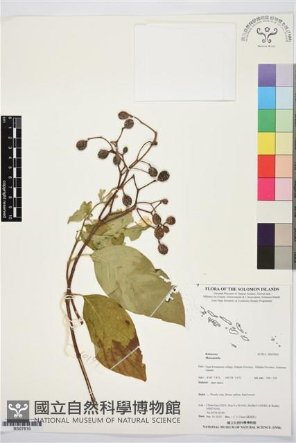 登錄號:BS07816藏品圖，第1張