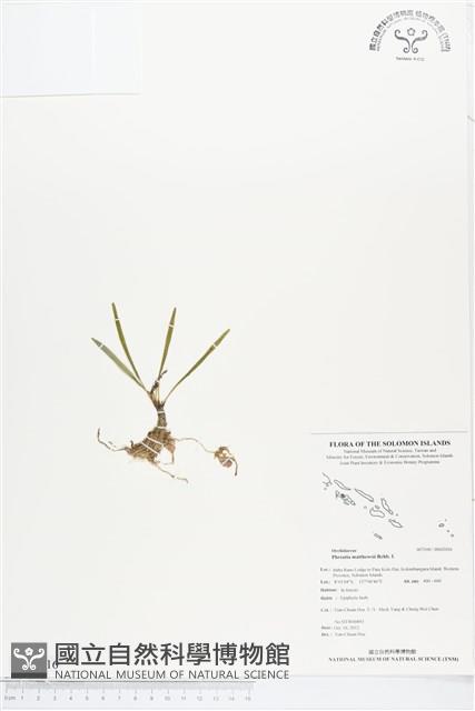 登錄號:BS02016藏品圖，第1張