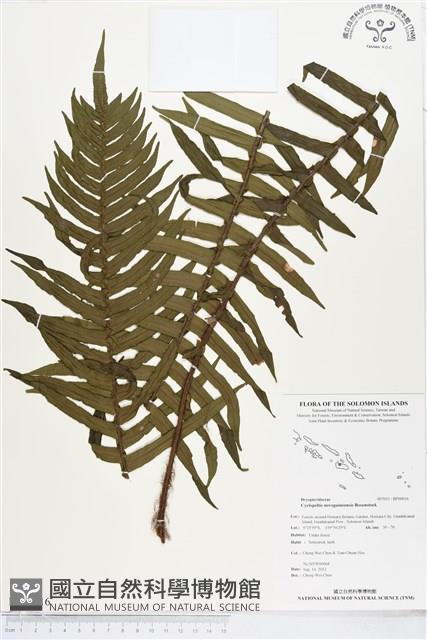 登錄號:BP00016藏品圖，第1張