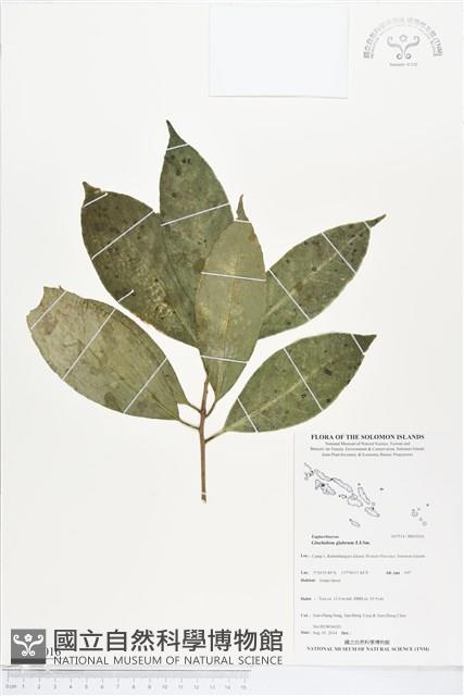 登錄號:BS05016藏品圖，第1張