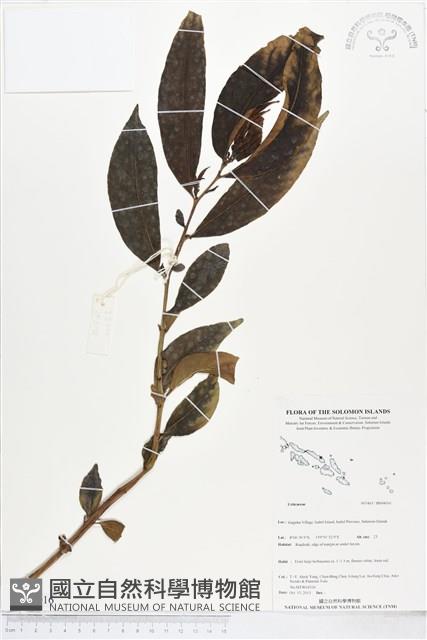 登錄號:BS04016藏品圖，第1張