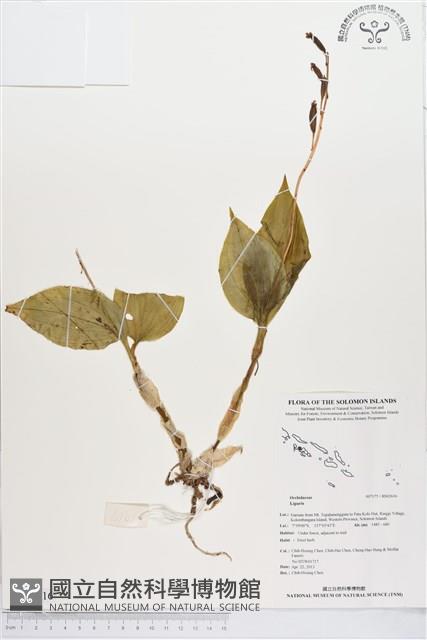 登錄號:BS02616藏品圖，第1張