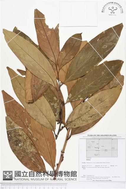 登錄號:BS01616藏品圖，第1張