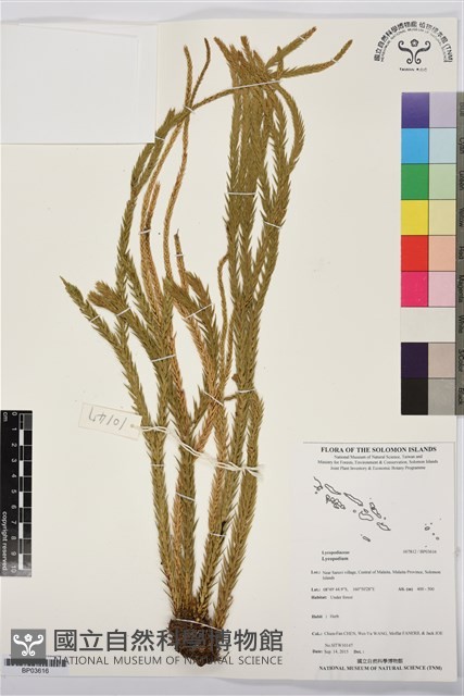 登錄號:BP03616藏品圖，第1張