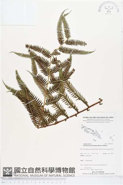 登錄號:BP02116藏品圖，第1張
