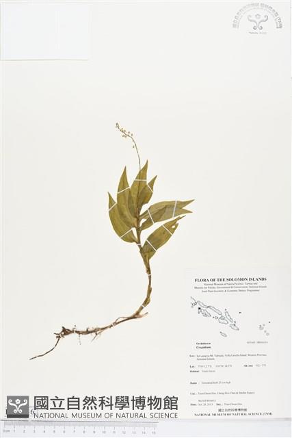 登錄號:BS04116藏品圖，第1張