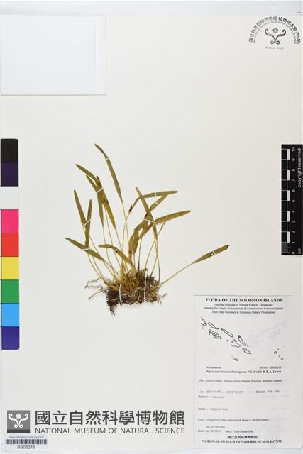 登錄號:BS06216藏品圖，第1張