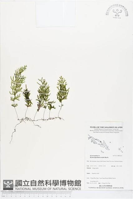 登錄號:BP02216藏品圖，第1張