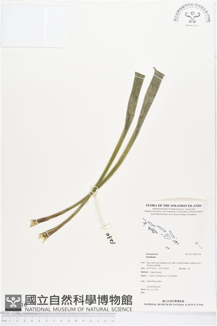 登錄號:BS02216藏品圖，第1張