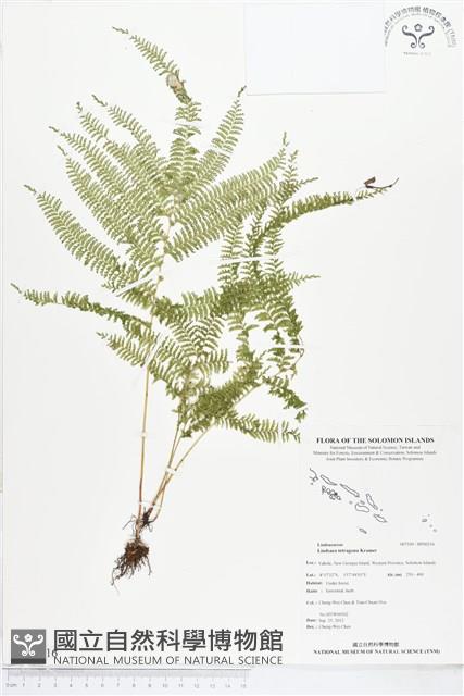 登錄號:BP00216藏品圖，第1張