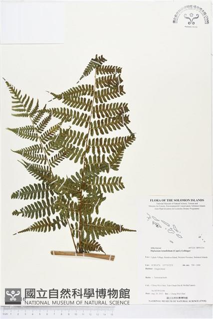 登錄號:BP01216藏品圖，第1張