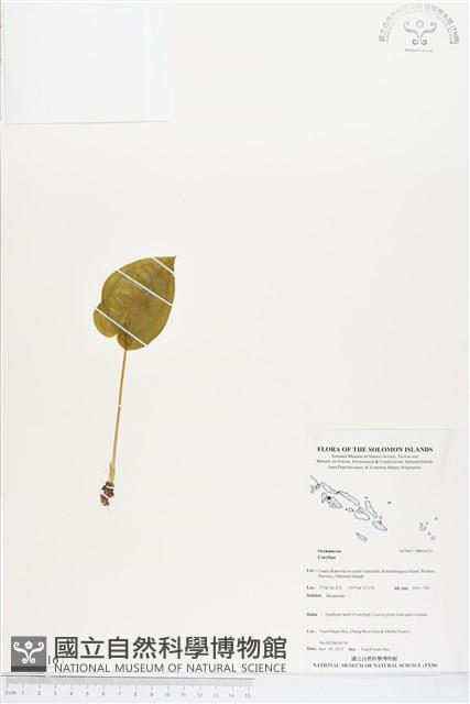 登錄號:BS04216藏品圖，第1張