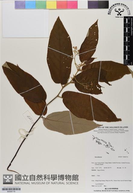 登錄號:BS06716藏品圖，第1張