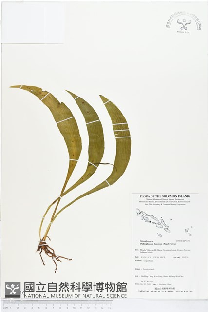 登錄號:BP01716藏品圖，第1張
