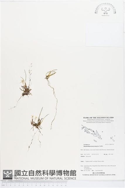 登錄號:BS04716藏品圖，第1張