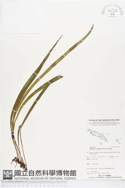 登錄號:BP01916藏品圖，第1張