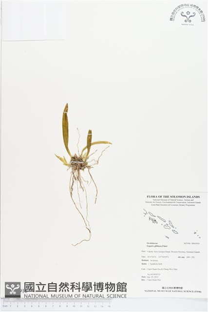 登錄號:BS01916藏品圖，第1張