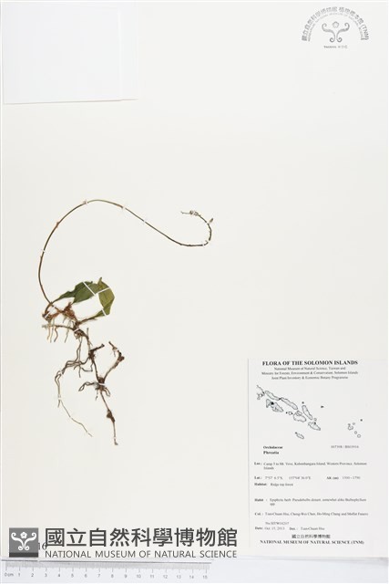 登錄號:BS03916藏品圖，第1張