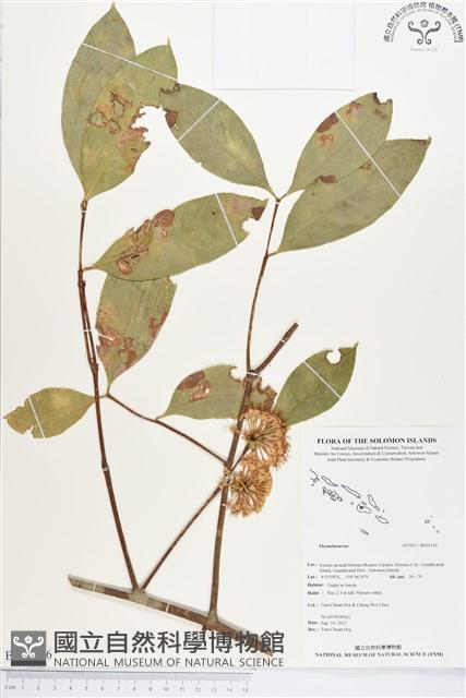 登錄號:BS01316藏品圖，第1張