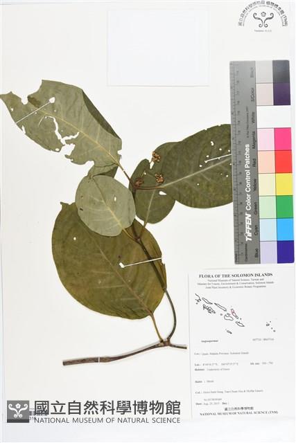 登錄號:BS07316藏品圖，第1張
