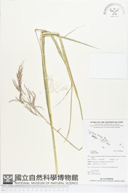 登錄號:BS02806藏品圖，第1張