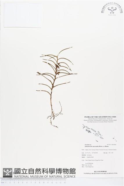 登錄號:BS01806藏品圖，第1張