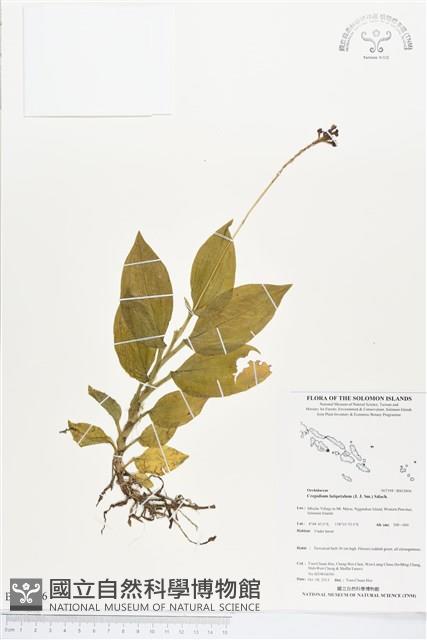 登錄號:BS03806藏品圖，第1張