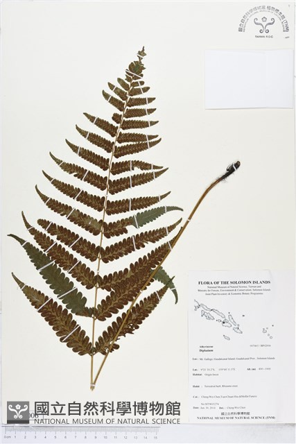 登錄號:BP02006藏品圖，第1張