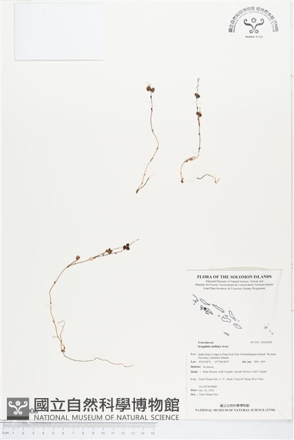 登錄號:BS02006藏品圖，第1張