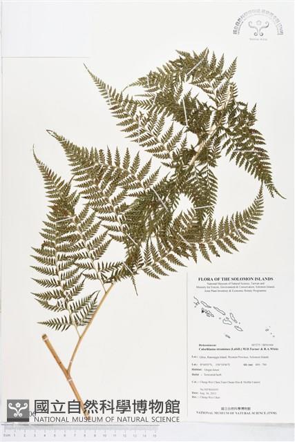 登錄號:BP01006藏品圖，第1張