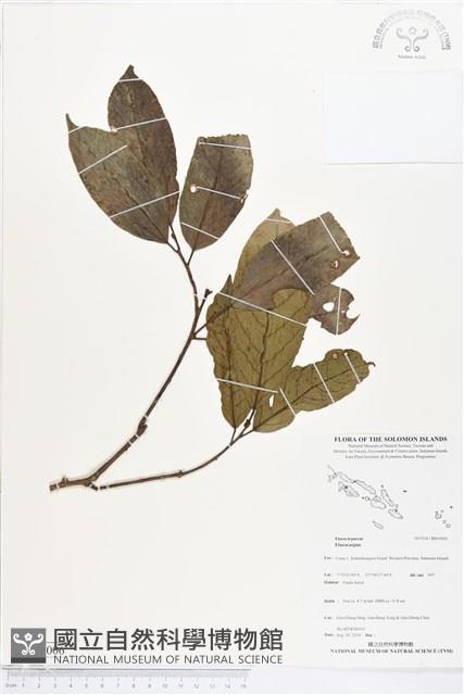 登錄號:BS05006藏品圖，第1張