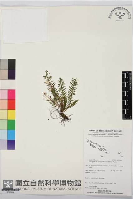 登錄號:BP03606藏品圖，第1張