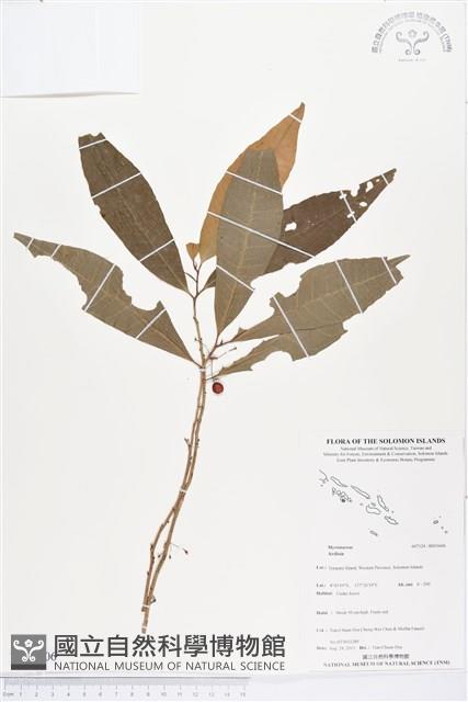 登錄號:BS03606藏品圖，第1張