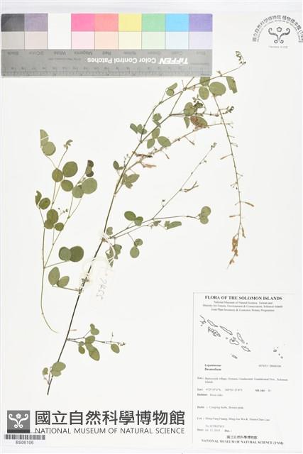 登錄號:BS06106藏品圖，第1張