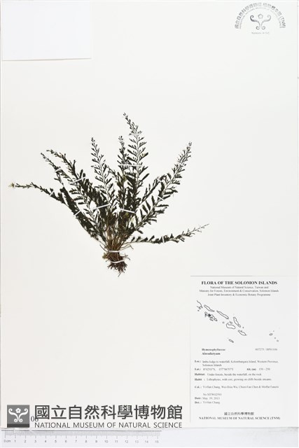 登錄號:BP01106藏品圖，第1張