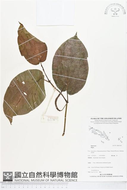 登錄號:BS05106藏品圖，第1張