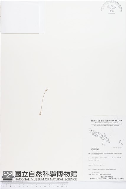登錄號:BS04106藏品圖，第1張