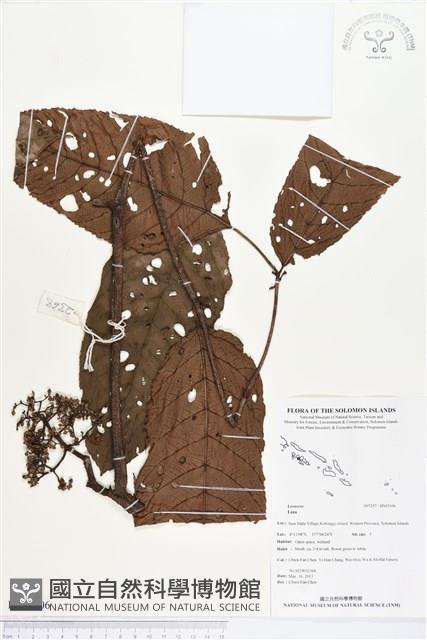 登錄號:BS03106藏品圖，第1張